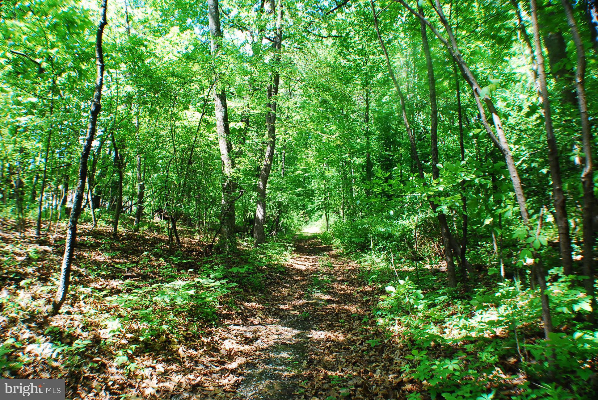 Lot 153 Babbs Mountain Road Winchester, VA 22603 - Photo 4 of 4