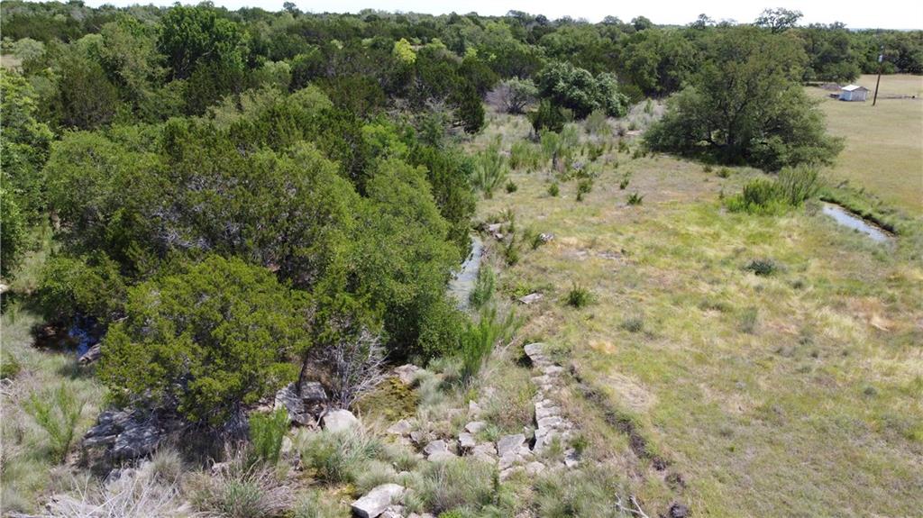 Lot 36 Garner Ranch Road Bertram, TX 78605 - Photo 3 of 12 a view of a forest with a tree