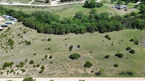 a view of a dry yard with trees