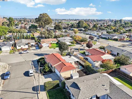 a view of a house with a garden
