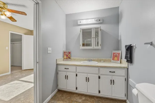 a view of a yard with an trees