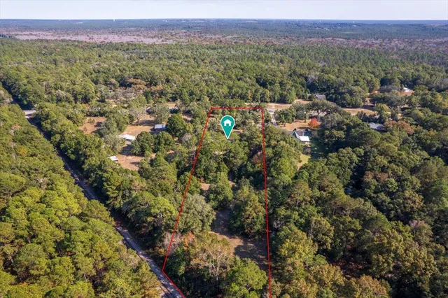 a view of a city with lush green forest