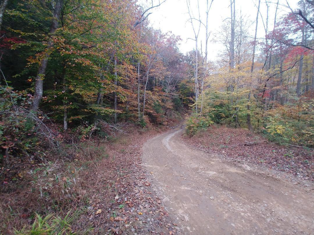 Capuchin Creek Road Winfield, TN 37892 - Photo 1 of 7 thumbnail (2)