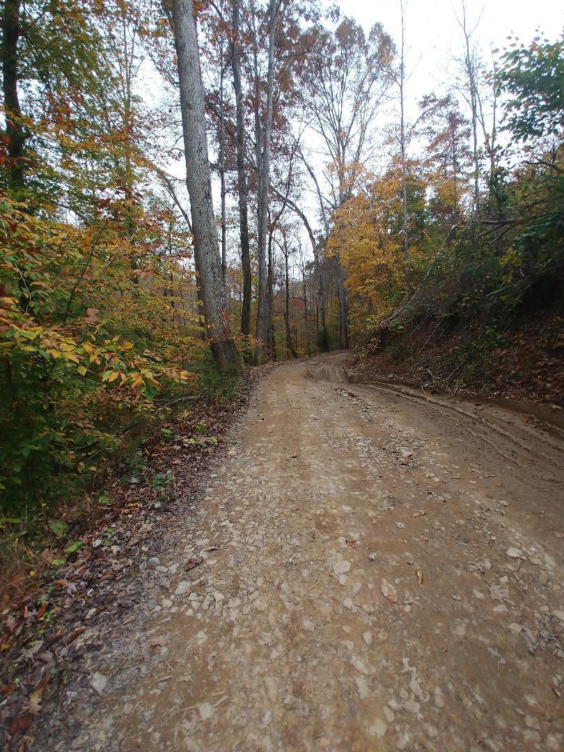 Capuchin Creek Road Winfield, TN 37892 - Photo 4 of 7 thumbnail