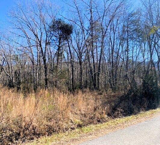 4 Boyd Road Benton, TN 37307 - Photo 2 of 7