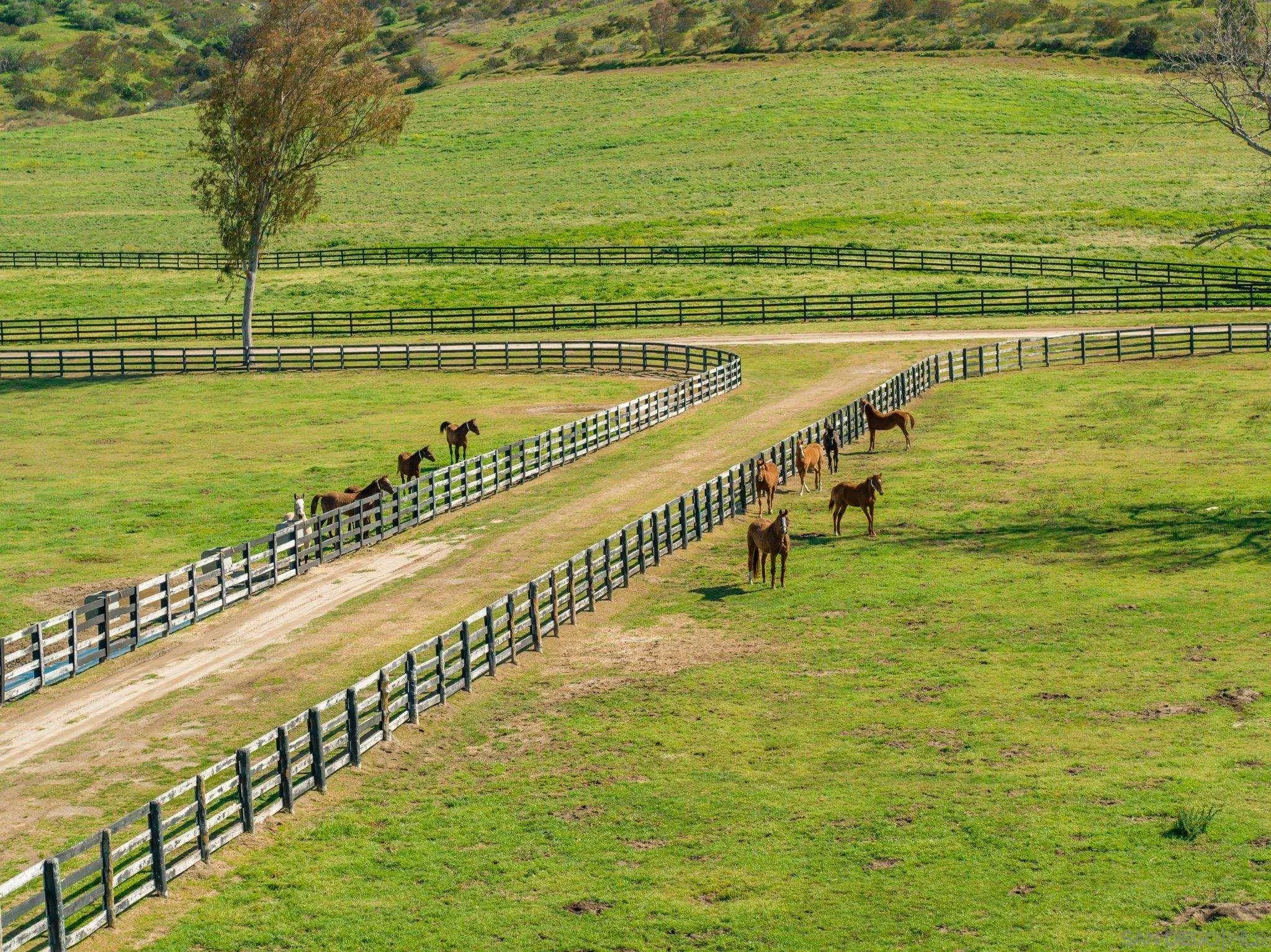 5820 West Lilac Road Bonsall, CA 92003 - Photo 23 of 34 a view of an ocean from a balcony