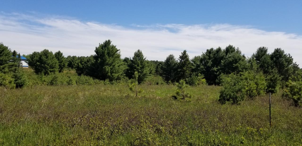 On On West Road, Unit LOT 3 Eagle River, WI 54521 - Photo 1 of 5 Gallery Image 1