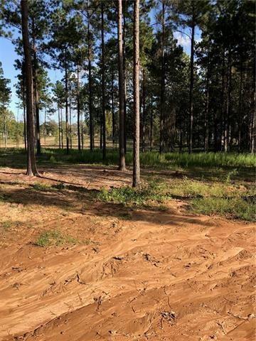 81 Herring Road Boyce, LA 71409 - Photo 1 of 1 Gallery Image 1