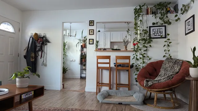 a living room with furniture and a potted plant