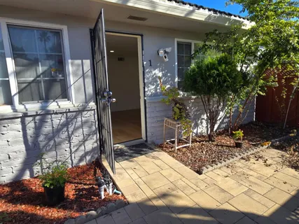 a view of backyard of the house
