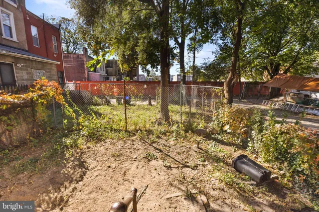 a view of yard with trees