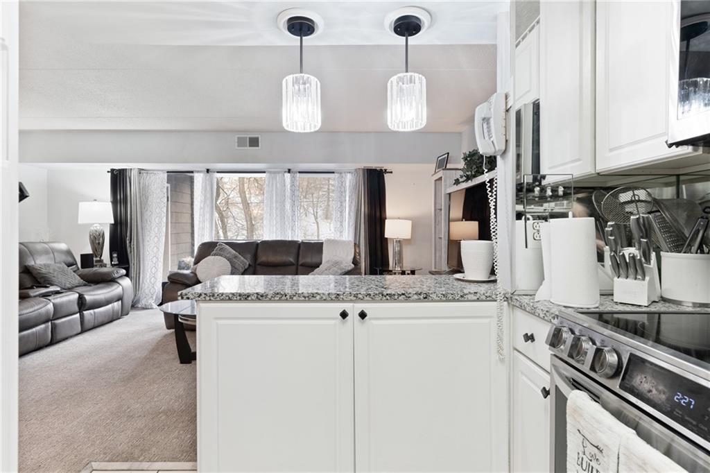 2160 Greentree Road, Unit 508W Pittsburgh, PA 15220 - Photo 6 of 29 Gallery Image 6