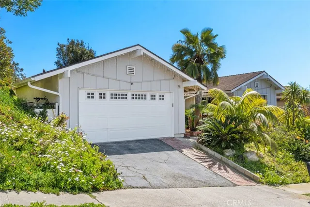 a view of a small garden with potted plants