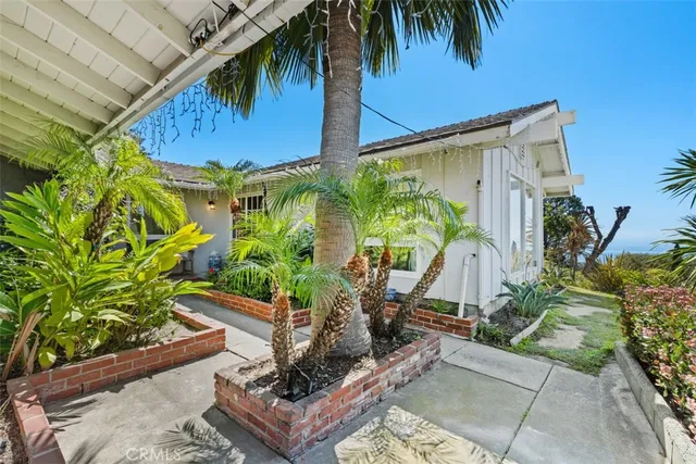 a view of backyard with potted plants