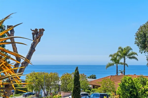 a view of an entryway with a palm tree