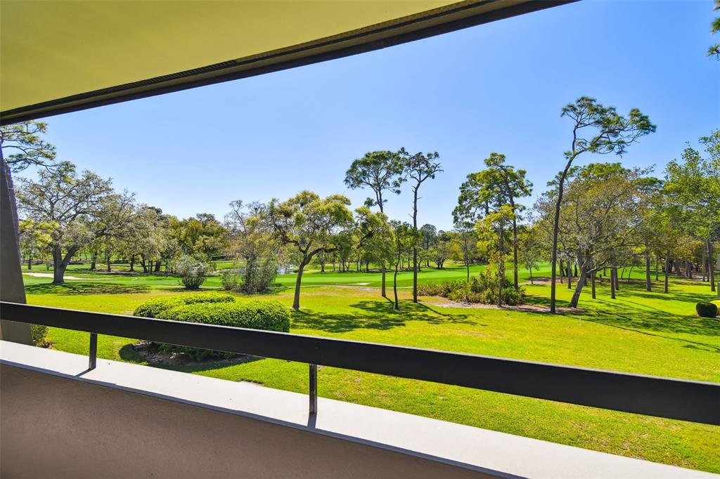 36750 US Highway 19 North, Unit 22207 Palm Harbor, FL 34683 - Photo 2 of 50 a view of an outdoor space and seating area