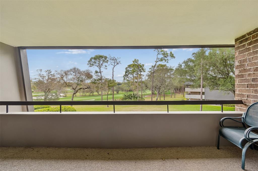 36750 US Highway 19 North, Unit 22207 Palm Harbor, FL 34683 - Photo 27 of 60