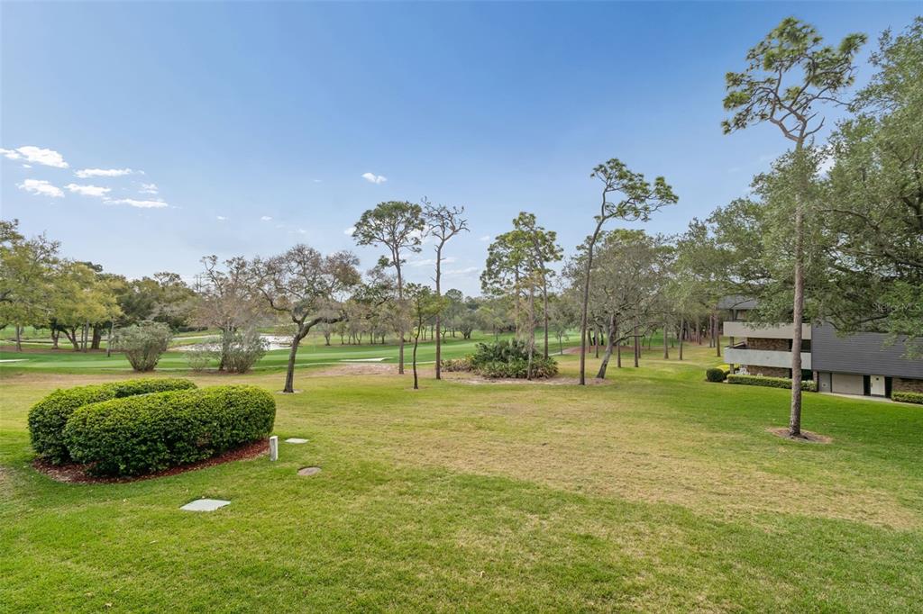 36750 US Highway 19 North, Unit 22207 Palm Harbor, FL 34683 - Photo 30 of 60