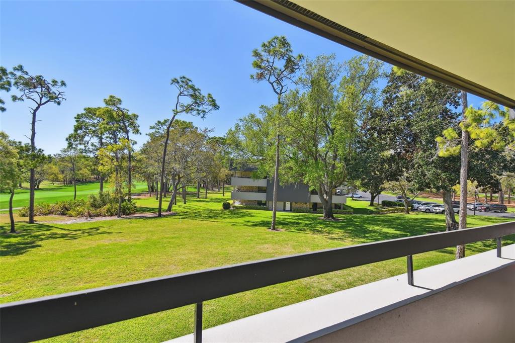 36750 US Highway 19 North, Unit 22207 Palm Harbor, FL 34683 - Photo 3 of 50 a view of a park with large trees