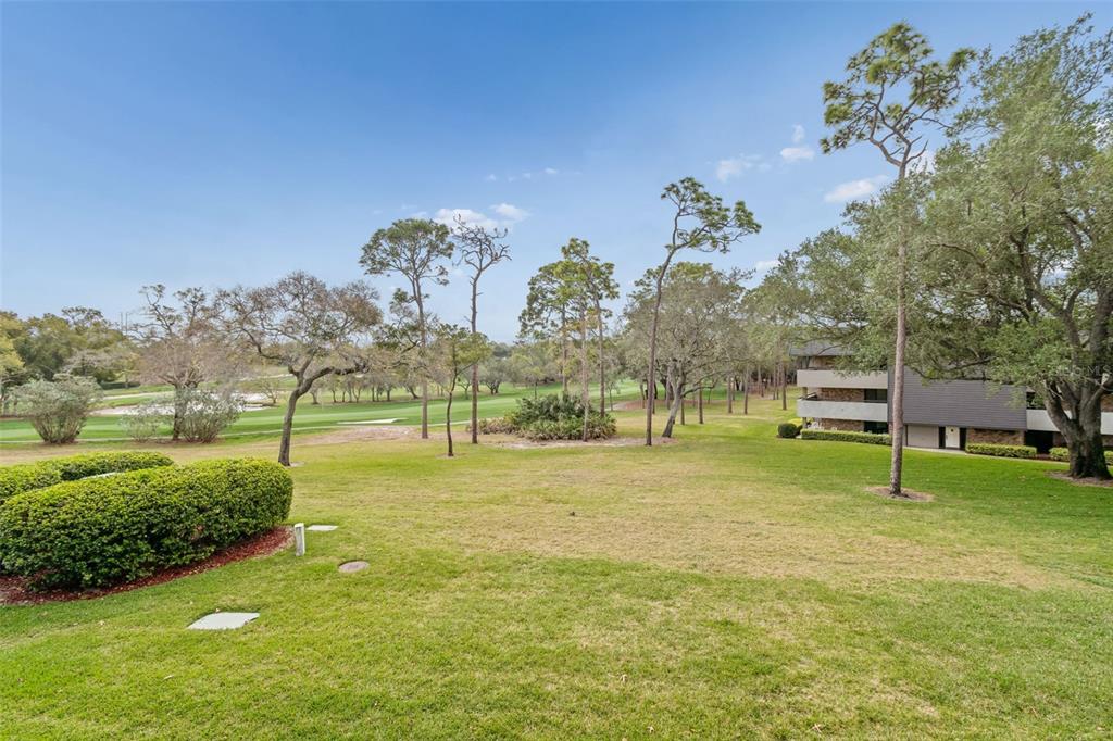 36750 US Highway 19 North, Unit 22207 Palm Harbor, FL 34683 - Photo 31 of 60