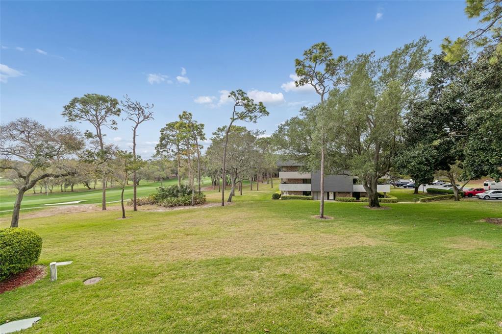36750 US Highway 19 North, Unit 22207 Palm Harbor, FL 34683 - Photo 32 of 60