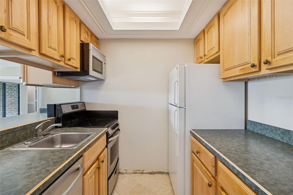 36750 US Highway 19 North, Unit 22207 Palm Harbor, FL 34683 - Photo 4 of 60