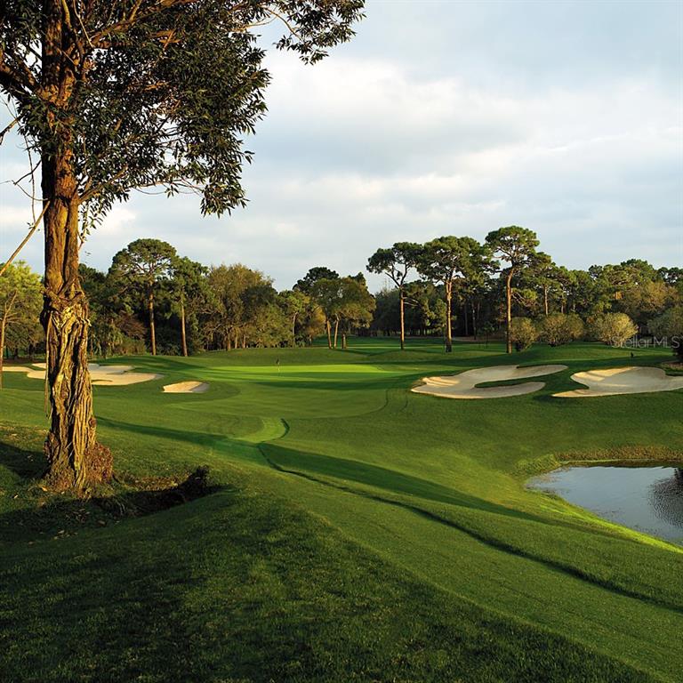 36750 US Highway 19 North, Unit 22207 Palm Harbor, FL 34683 - Photo 46 of 50 a view of a golf course