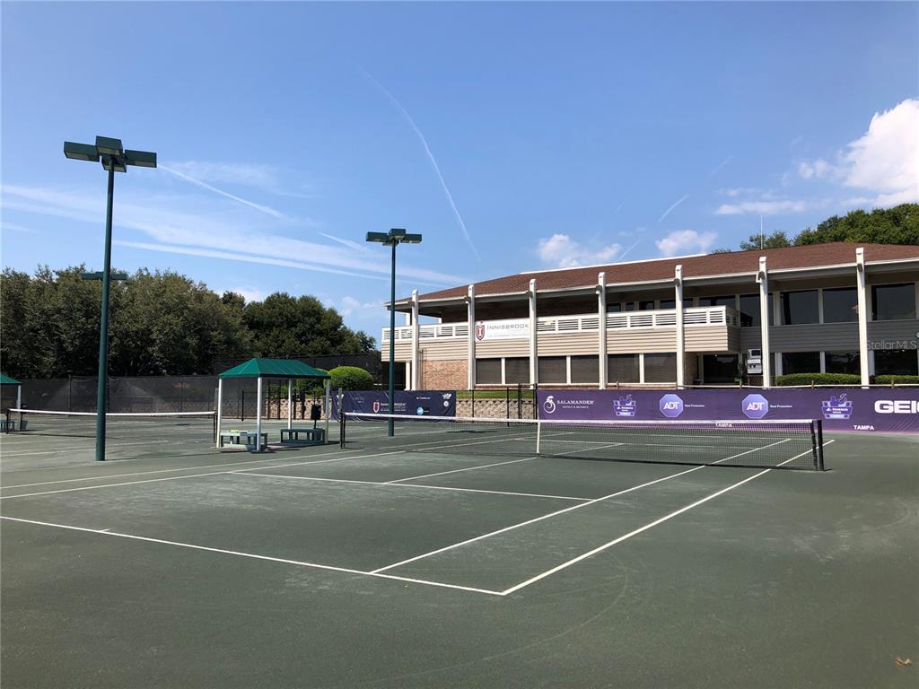 36750 US Highway 19 North, Unit 22207 Palm Harbor, FL 34683 - Photo 53 of 60