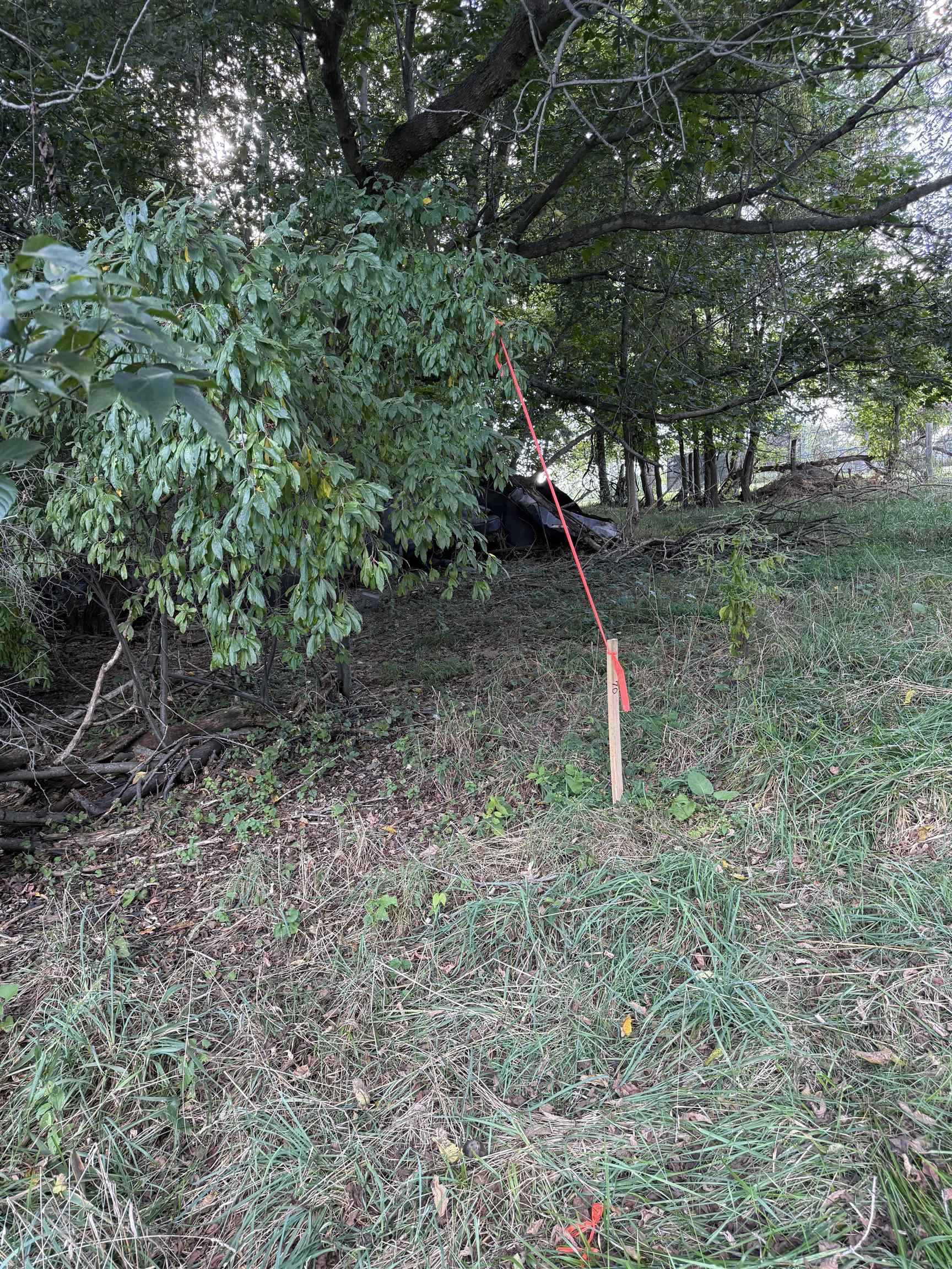 Tbd Earhart Lane Verona, VA 24482 - Photo 13 of 13 a backyard of a house with lots of green space