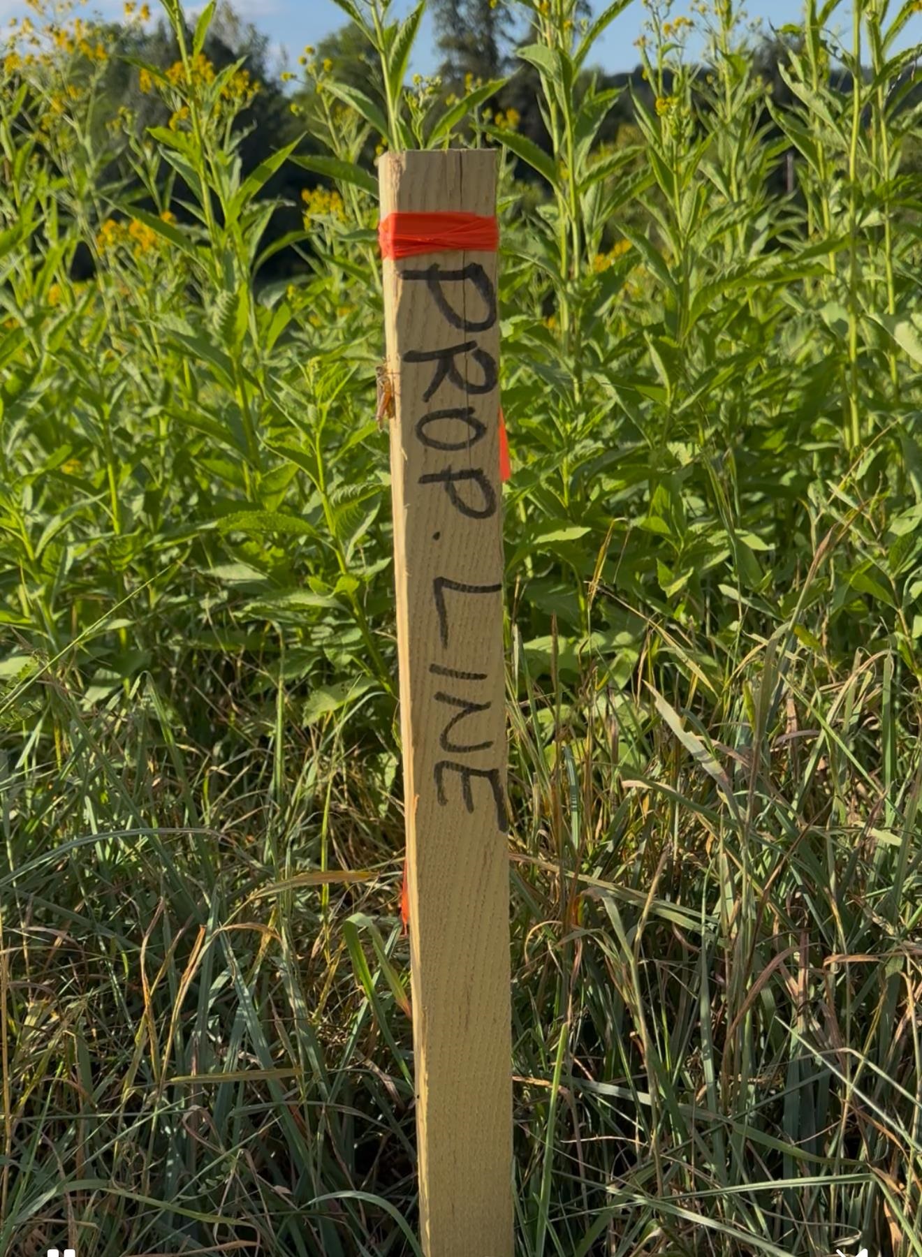 Tbd Earhart Lane Verona, VA 24482 - Photo 4 of 13