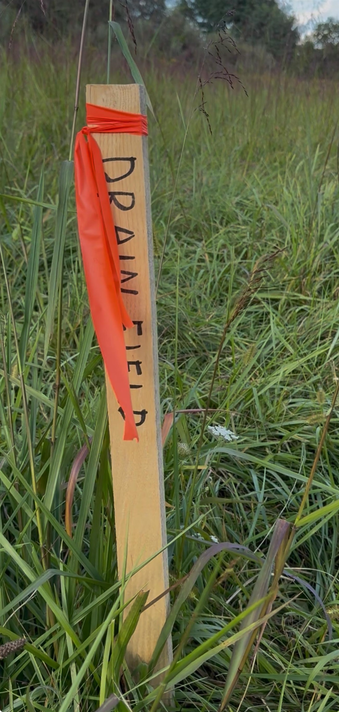 Tbd Earhart Lane Verona, VA 24482 - Photo 5 of 13 a view of a garden