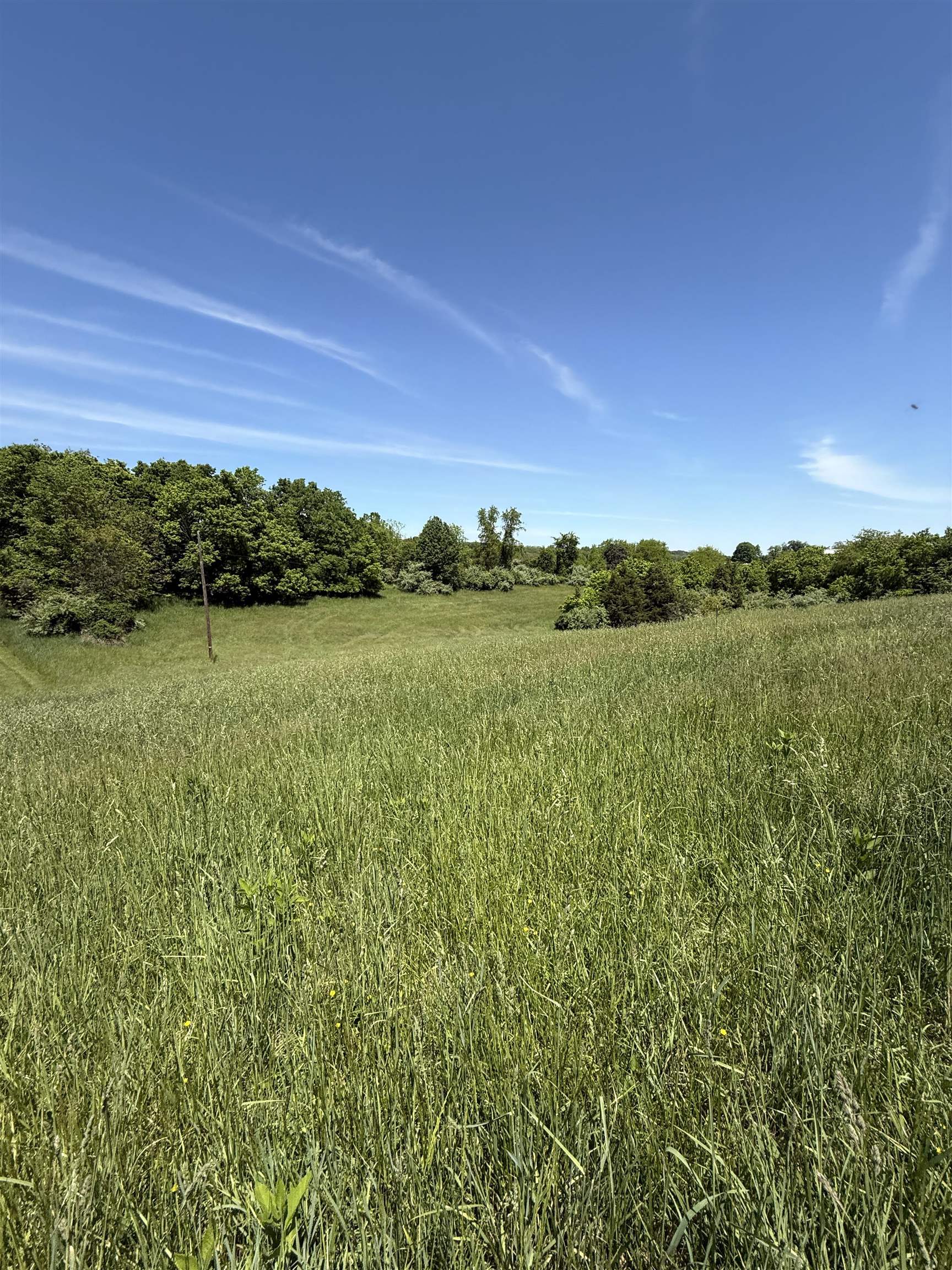 Tbd Earhart Lane Verona, VA 24482 - Photo 7 of 13 a view of a lake with a city