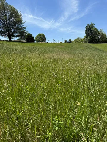a view of an outdoor space and a yard
