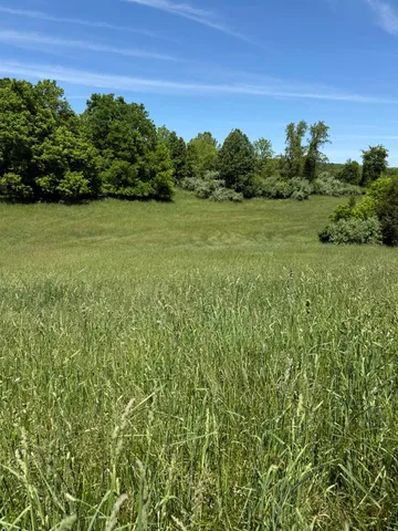 a view of lake with green space
