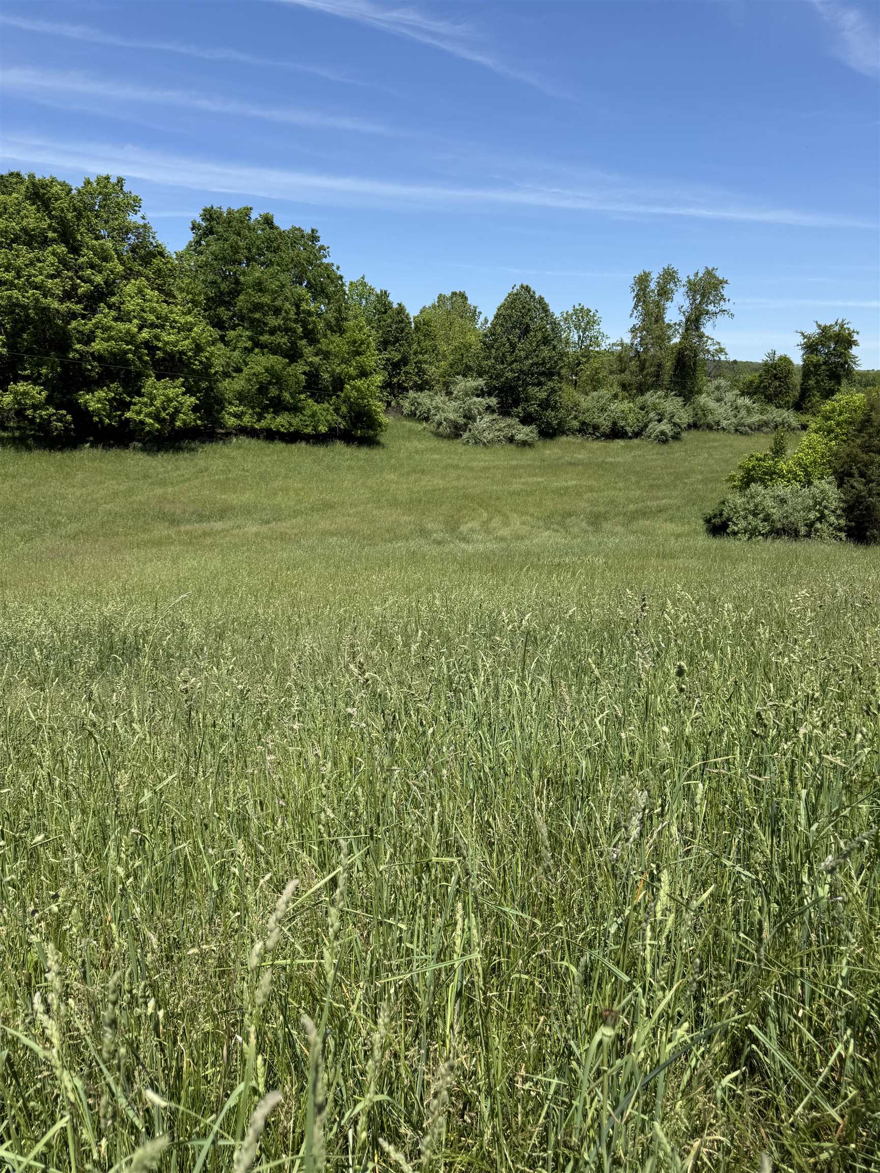 Tbd Earhart Lane Verona, VA 24482 - Photo 9 of 13 a view of a garden with a building in the background