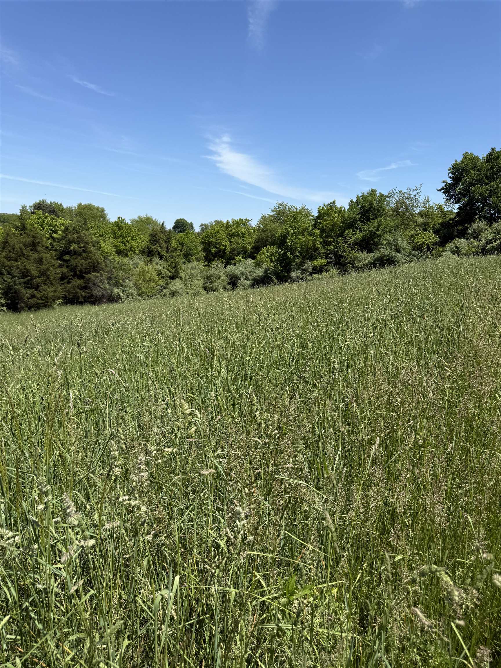 Tbd Earhart Lane Verona, VA 24482 - Photo 10 of 13 a view of a field of grass and trees