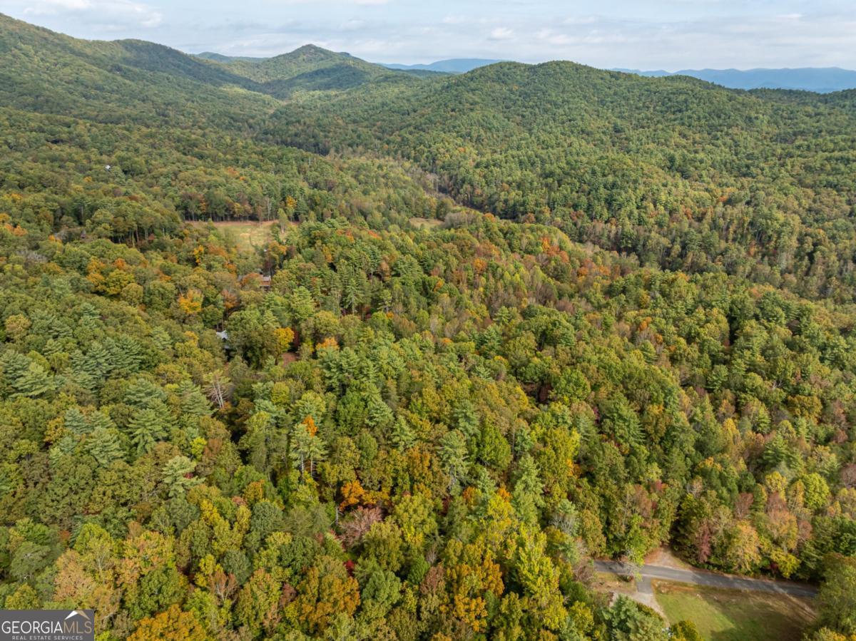 Lot 1 Chief Whitetails Road Ellijay, GA 30540 - Photo 12 of 63