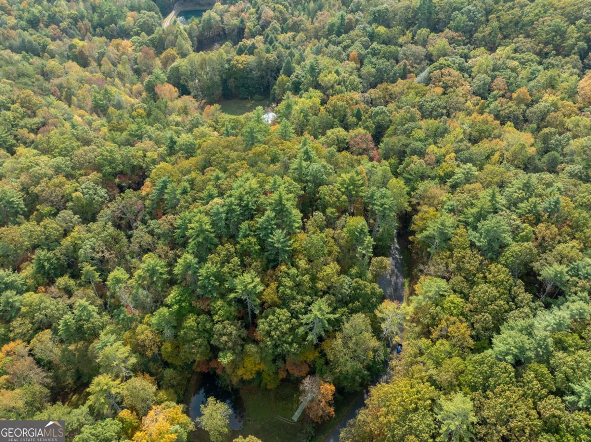 Lot 1 Chief Whitetails Road Ellijay, GA 30540 - Photo 16 of 63