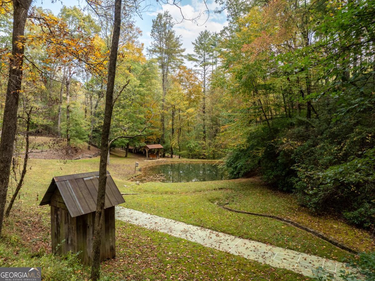 Lot 1 Chief Whitetails Road Ellijay, GA 30540 - Photo 20 of 63