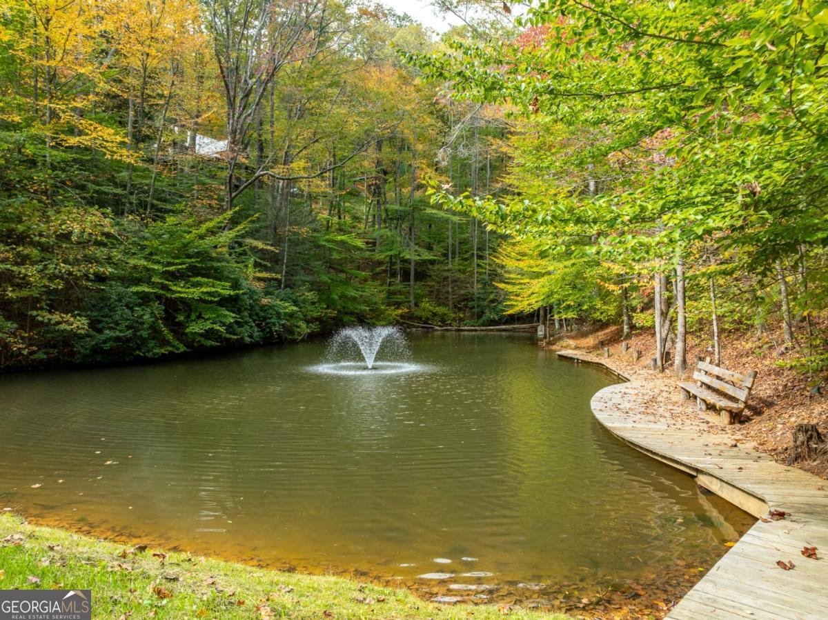 Lot 1 Chief Whitetails Road Ellijay, GA 30540 - Photo 27 of 63