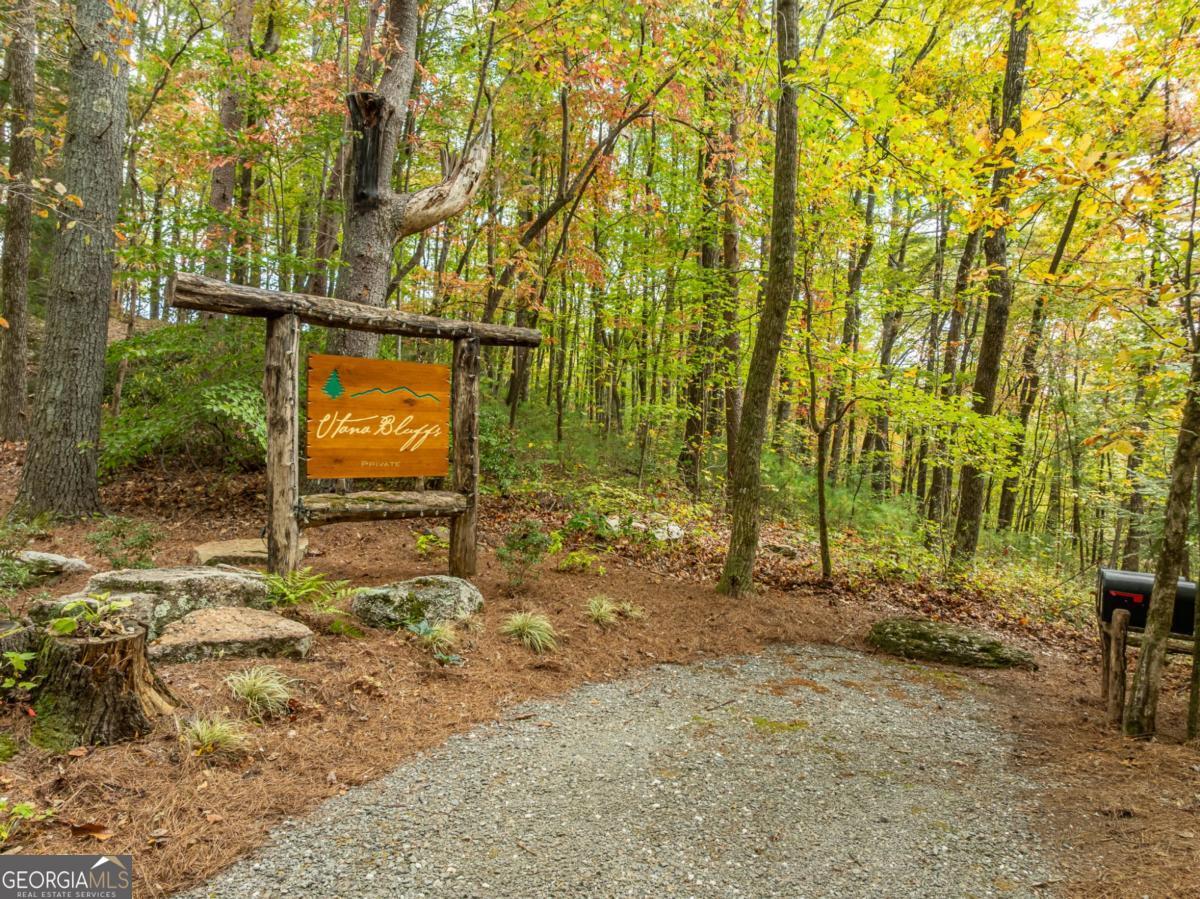 Lot 1 Chief Whitetails Road Ellijay, GA 30540 - Photo 3 of 63
