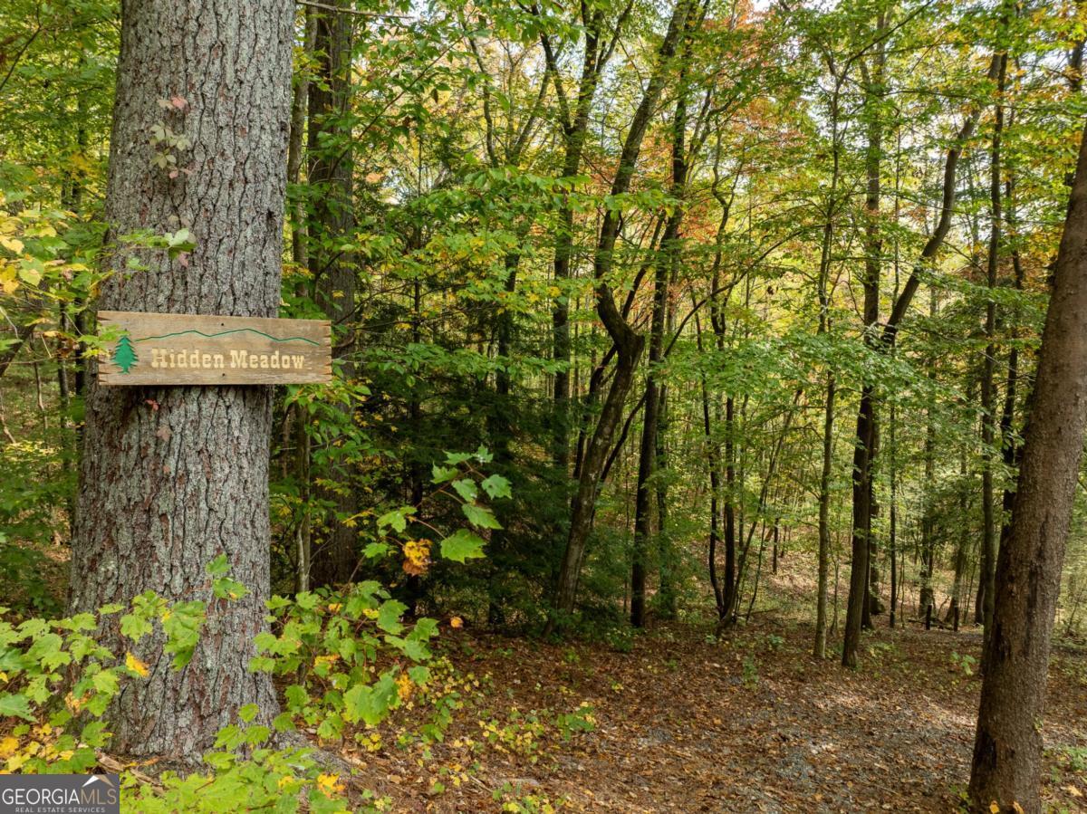 Lot 1 Chief Whitetails Road Ellijay, GA 30540 - Photo 33 of 63