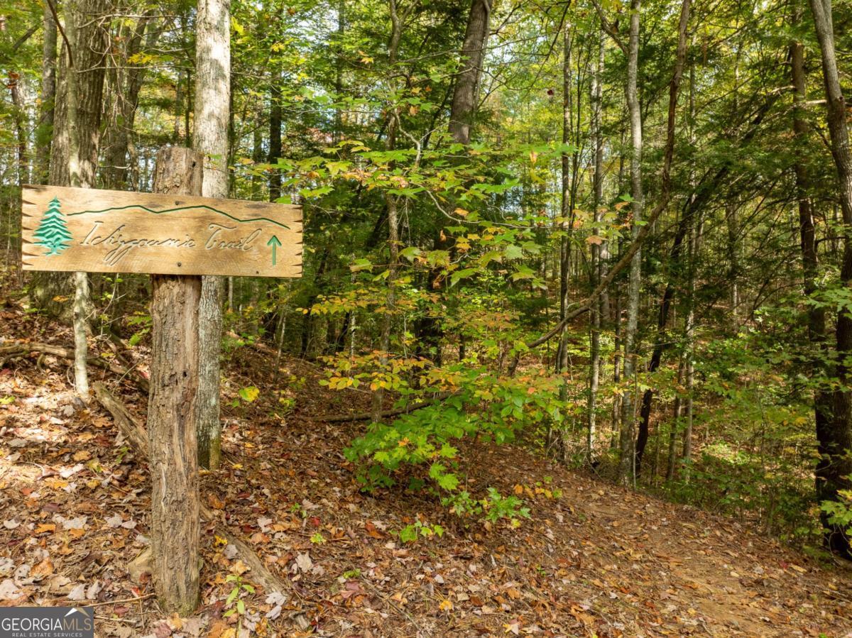 Lot 1 Chief Whitetails Road Ellijay, GA 30540 - Photo 35 of 63