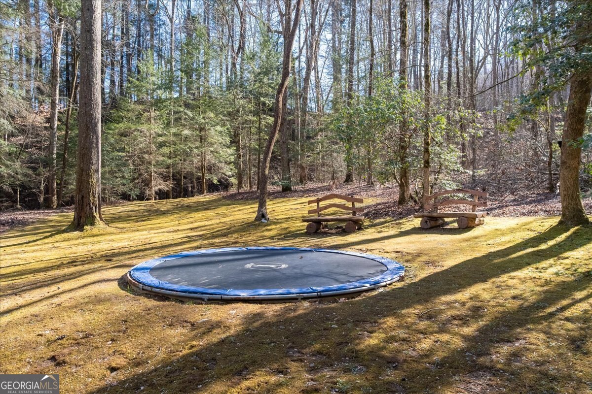 Lot 1 Chief Whitetails Road Ellijay, GA 30540 - Photo 39 of 63