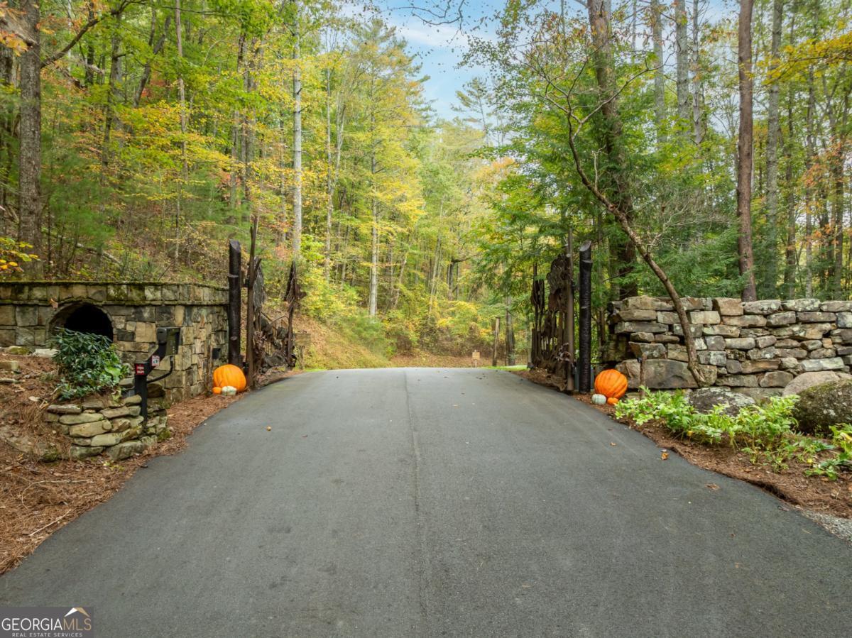 Lot 1 Chief Whitetails Road Ellijay, GA 30540 - Photo 4 of 63