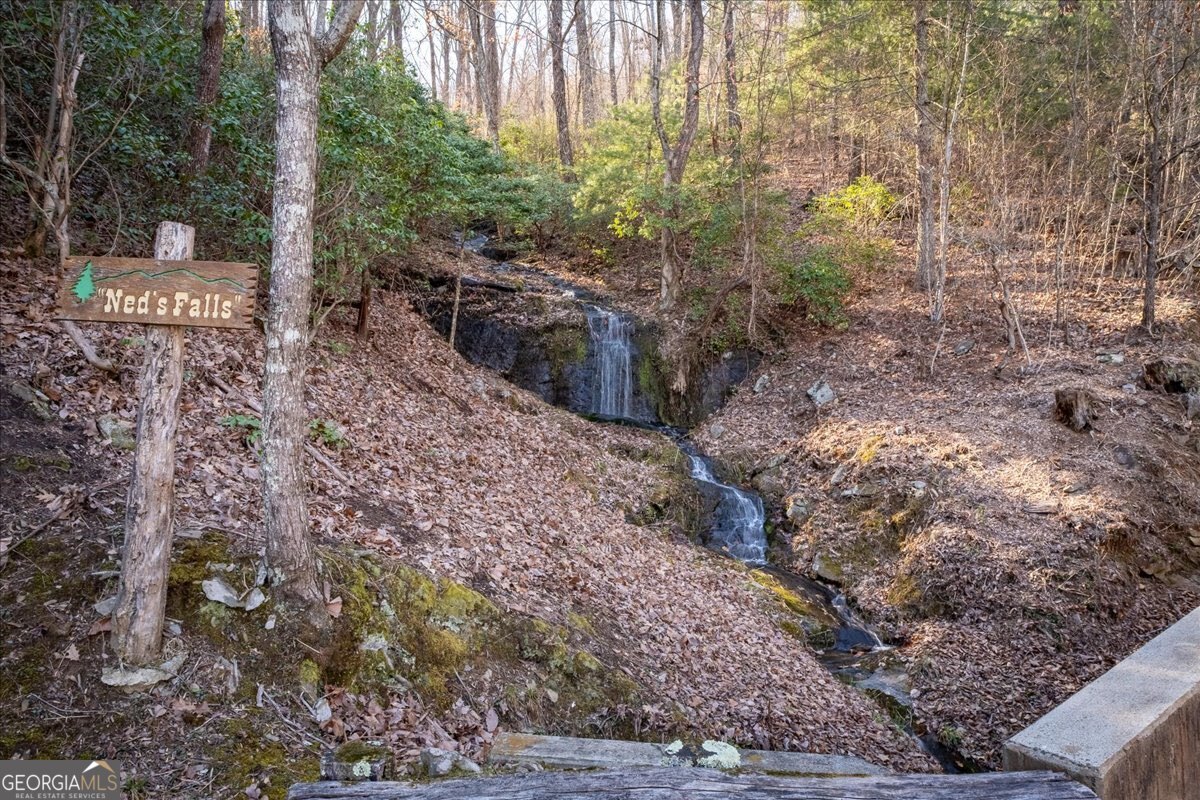Lot 1 Chief Whitetails Road Ellijay, GA 30540 - Photo 47 of 63