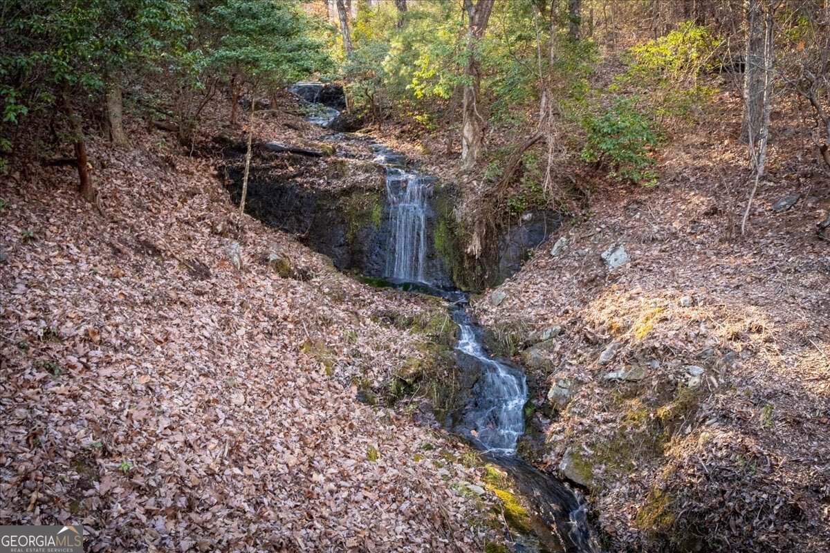 Lot 1 Chief Whitetails Road Ellijay, GA 30540 - Photo 48 of 63