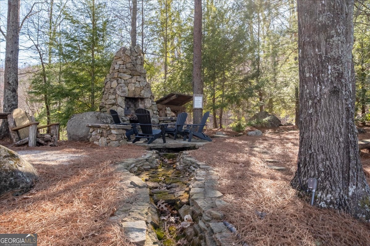 Lot 1 Chief Whitetails Road Ellijay, GA 30540 - Photo 49 of 63