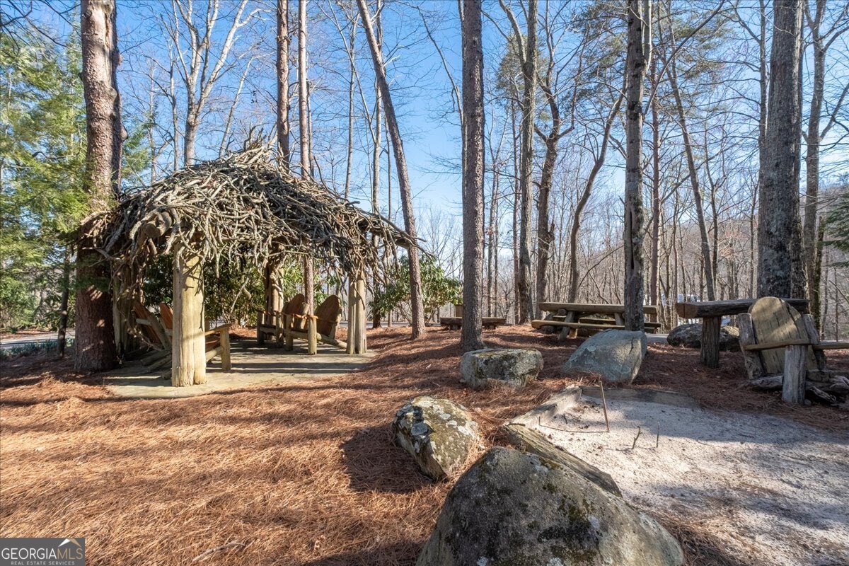 Lot 1 Chief Whitetails Road Ellijay, GA 30540 - Photo 50 of 63