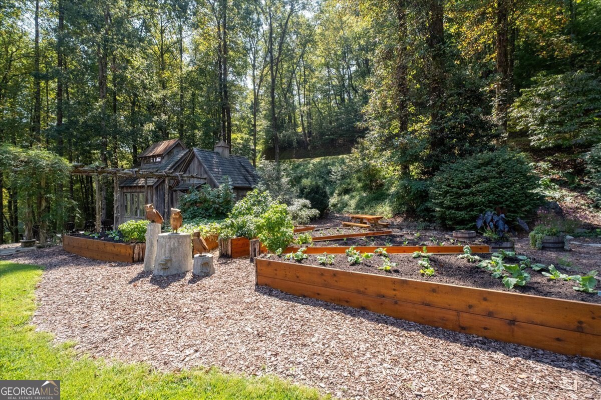 Lot 1 Chief Whitetails Road Ellijay, GA 30540 - Photo 59 of 63